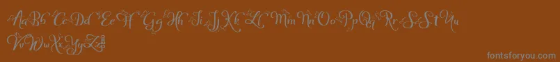 SofyeDemo-Schriftart – Graue Schriften auf braunem Hintergrund