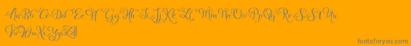 SofyeDemo-Schriftart – Graue Schriften auf orangefarbenem Hintergrund