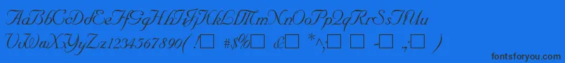 SncScriptItalic Font – Black Fonts on Blue Background
