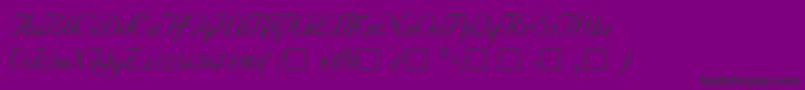 SncScriptItalic-Schriftart – Schwarze Schriften auf violettem Hintergrund