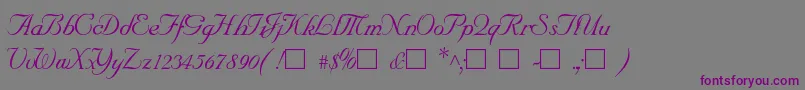 SncScriptItalic Font – Purple Fonts on Gray Background