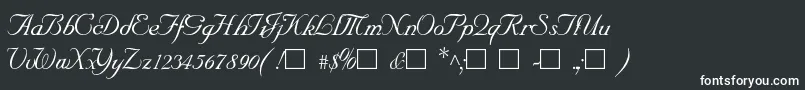 SncScriptItalic Font – White Fonts on Black Background