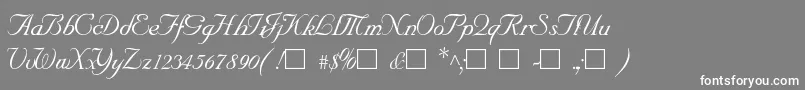SncScriptItalic Font – White Fonts on Gray Background