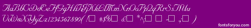 SncScriptItalic-Schriftart – Weiße Schriften auf violettem Hintergrund
