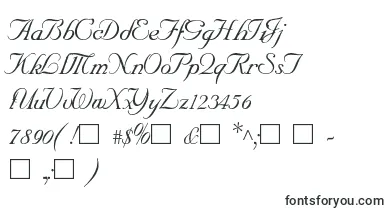  SncScriptItalic font