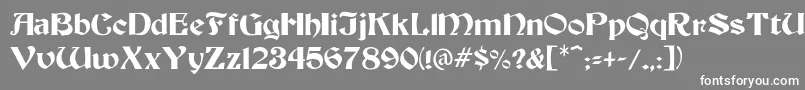 フォントBendorMedium – 灰色の背景に白い文字