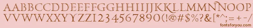 PfmonumentaproMetallica Font – Brown Fonts on Pink Background