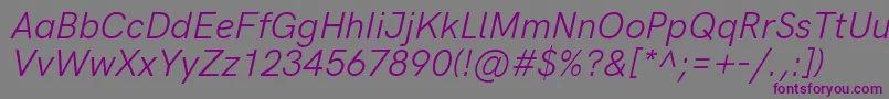 HkgroteskItalic Font – Purple Fonts on Gray Background