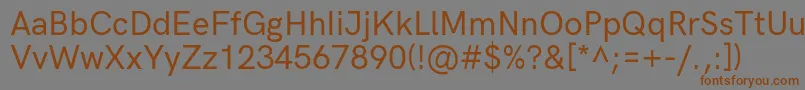 HkgroteskMediumlegacy Font – Brown Fonts on Gray Background