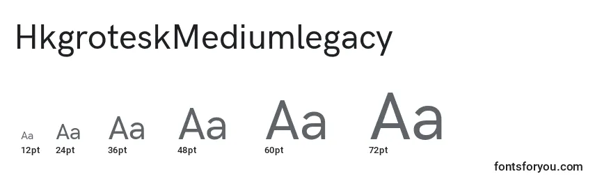 Размеры шрифта HkgroteskMediumlegacy (101105)