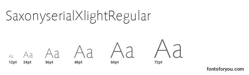 Размеры шрифта SaxonyserialXlightRegular