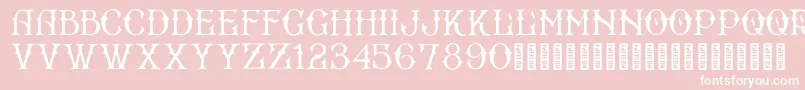 BradfordRegular Font – White Fonts on Pink Background