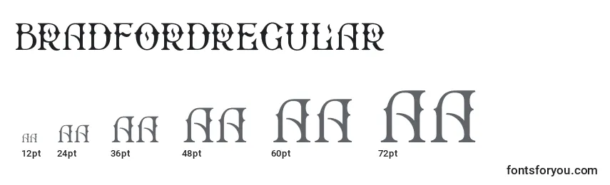 Размеры шрифта BradfordRegular
