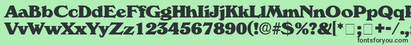 CatalegoDisplaySsi Font – Black Fonts on Green Background