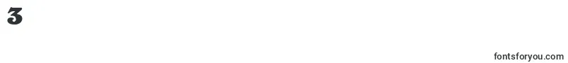 CatalegoDisplaySsi Font – Fonts for Digit 3