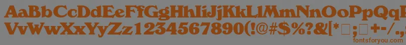 フォントCatalegoDisplaySsi – 茶色の文字が灰色の背景にあります。