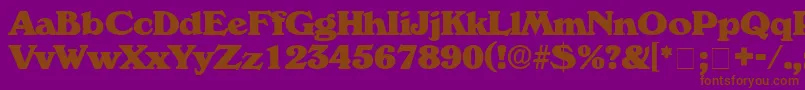 CatalegoDisplaySsi-Schriftart – Braune Schriften auf violettem Hintergrund