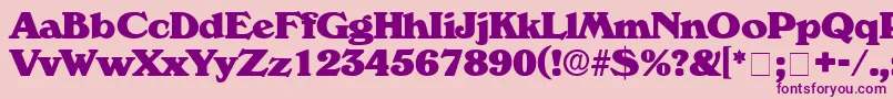 CatalegoDisplaySsi Font – Purple Fonts on Pink Background