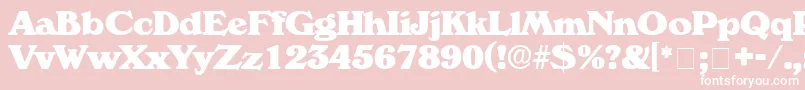 CatalegoDisplaySsi Font – White Fonts on Pink Background