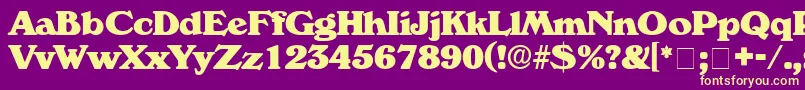 CatalegoDisplaySsi Font – Yellow Fonts on Purple Background