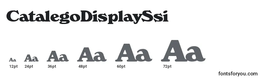Размеры шрифта CatalegoDisplaySsi
