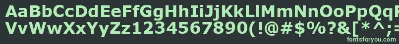 VerdanaBold Font – Green Fonts on Black Background