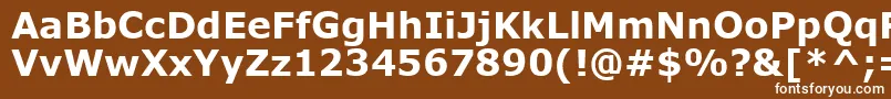 フォントVerdanaBold – 茶色の背景に白い文字