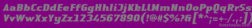 LinotypeAuthenticSmallSerifBlackit Font – Gray Fonts on Purple Background