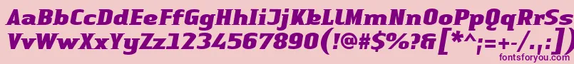 LinotypeAuthenticSmallSerifBlackit Font – Purple Fonts on Pink Background