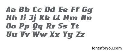 LinotypeAuthenticSmallSerifBlackit-fontti