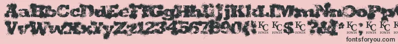 Shotgunweddingdemo Font – Black Fonts on Pink Background