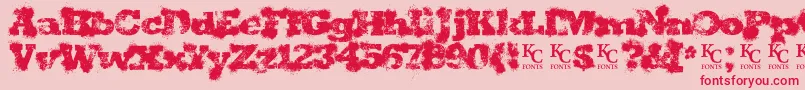 Shotgunweddingdemo Font – Red Fonts on Pink Background