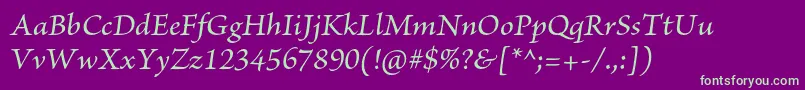 BriosoproMediumit Font – Green Fonts on Purple Background
