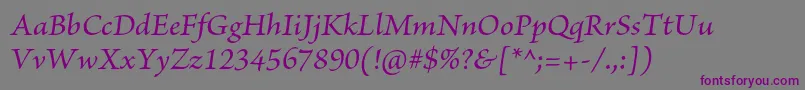 BriosoproMediumit Font – Purple Fonts on Gray Background
