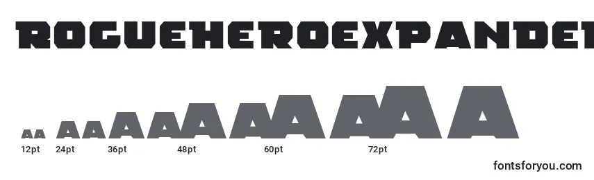Размеры шрифта RogueHeroExpanded