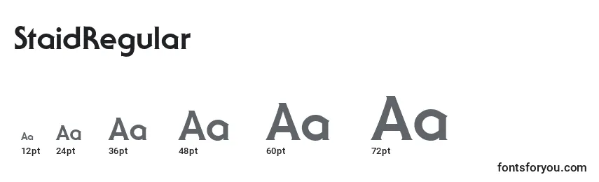 StaidRegular Font Sizes