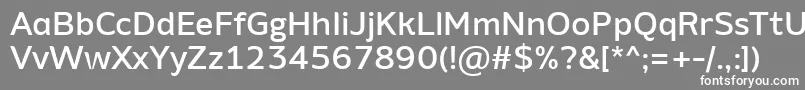 AminoAltMedium Font – White Fonts on Gray Background
