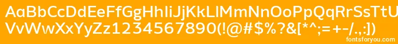 AminoAltMedium Font – White Fonts on Orange Background