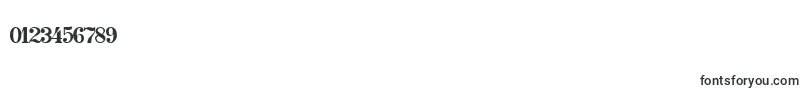 Spw Font – Fonts for Numbers and Digits