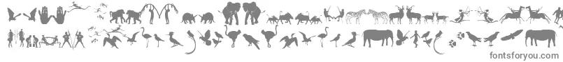 FontsOfAfrikaSample-fontti – harmaat kirjasimet valkoisella taustalla