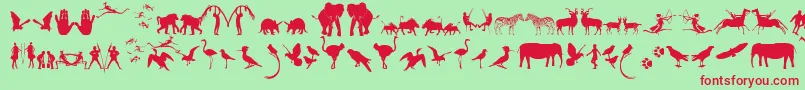 Шрифт FontsOfAfrikaSample – красные шрифты на зелёном фоне