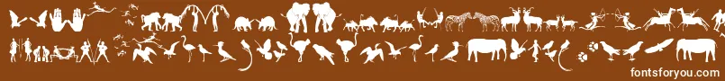 Fonte FontsOfAfrikaSample – fontes brancas em um fundo marrom