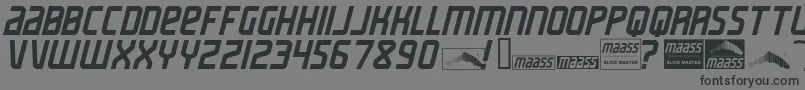 MaassSlicerItalic Font – Black Fonts on Gray Background