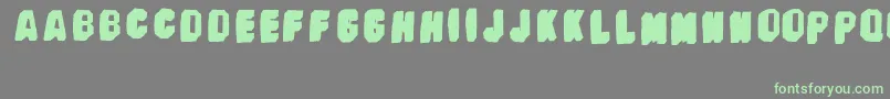 BanhartVer09Erc2008 Font – Green Fonts on Gray Background