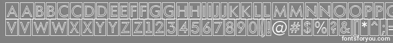 フォントAFuturaortotitulcmotl – 灰色の背景に白い文字