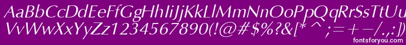 OpiumItalic Font – White Fonts on Purple Background