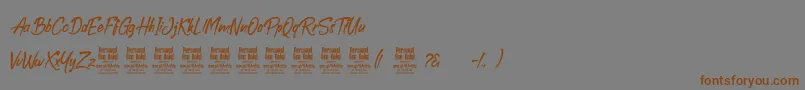 BoolackPersonalUse Font – Brown Fonts on Gray Background