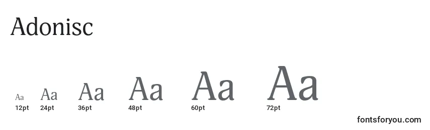 Размеры шрифта Adonisc
