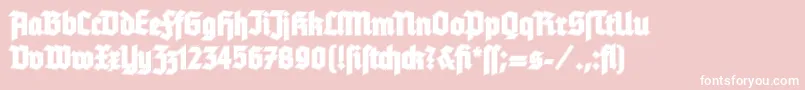 TannenbergContour Font – White Fonts on Pink Background