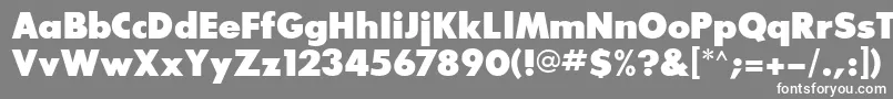 フォントGlasnostextraboldfwf – 灰色の背景に白い文字